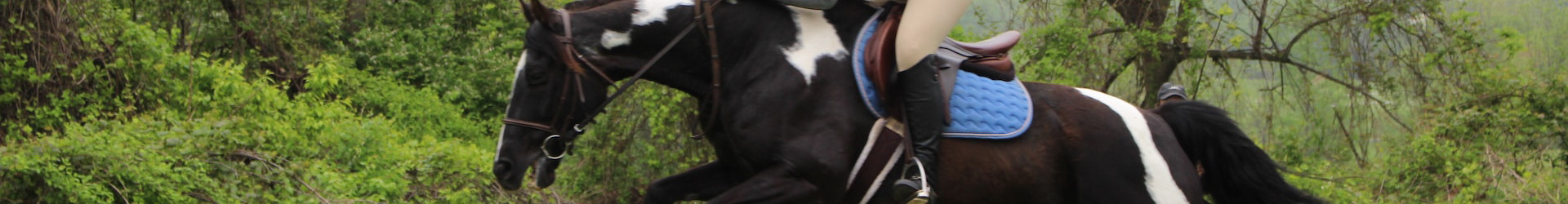 Acicb Centroequestre