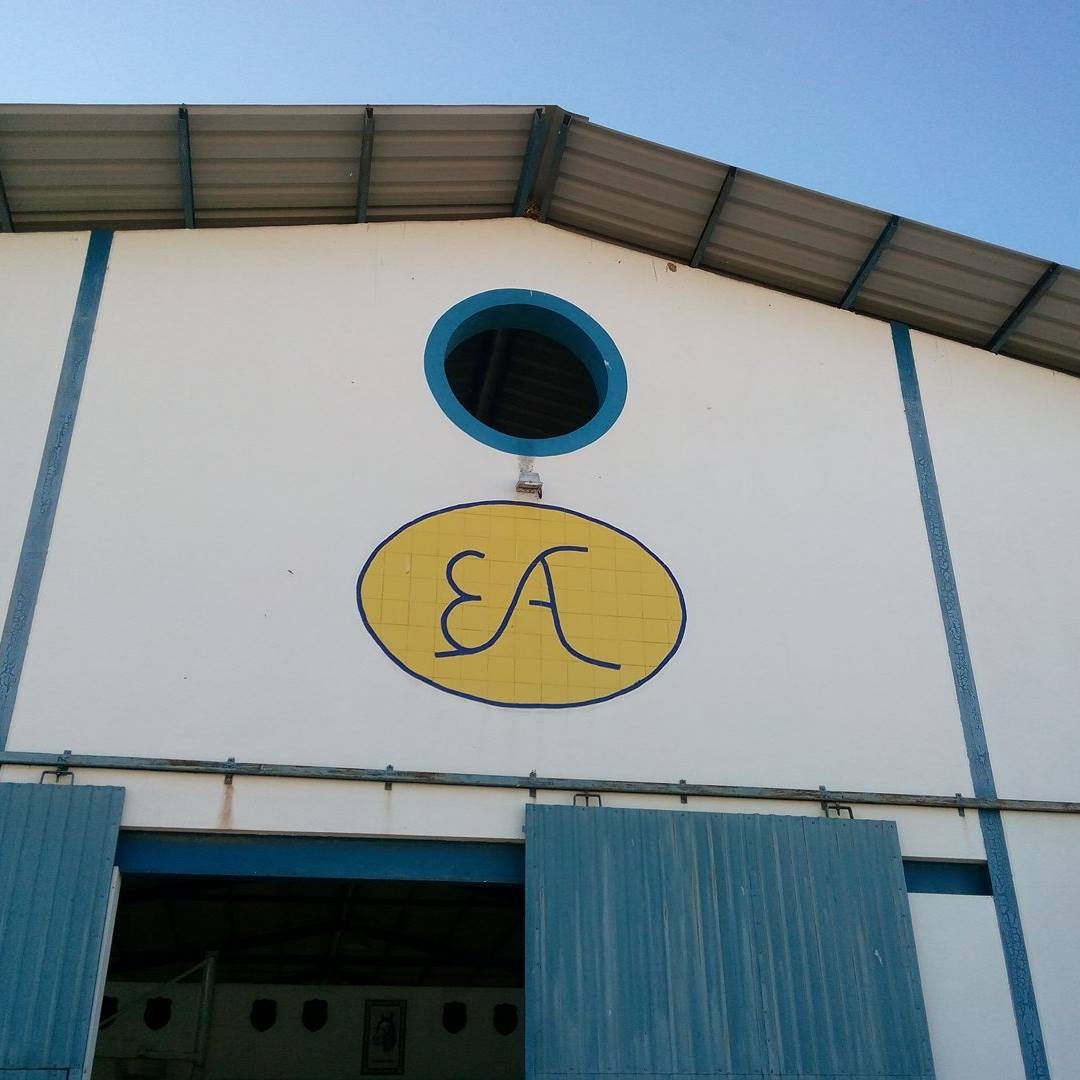Voltar à página inicial